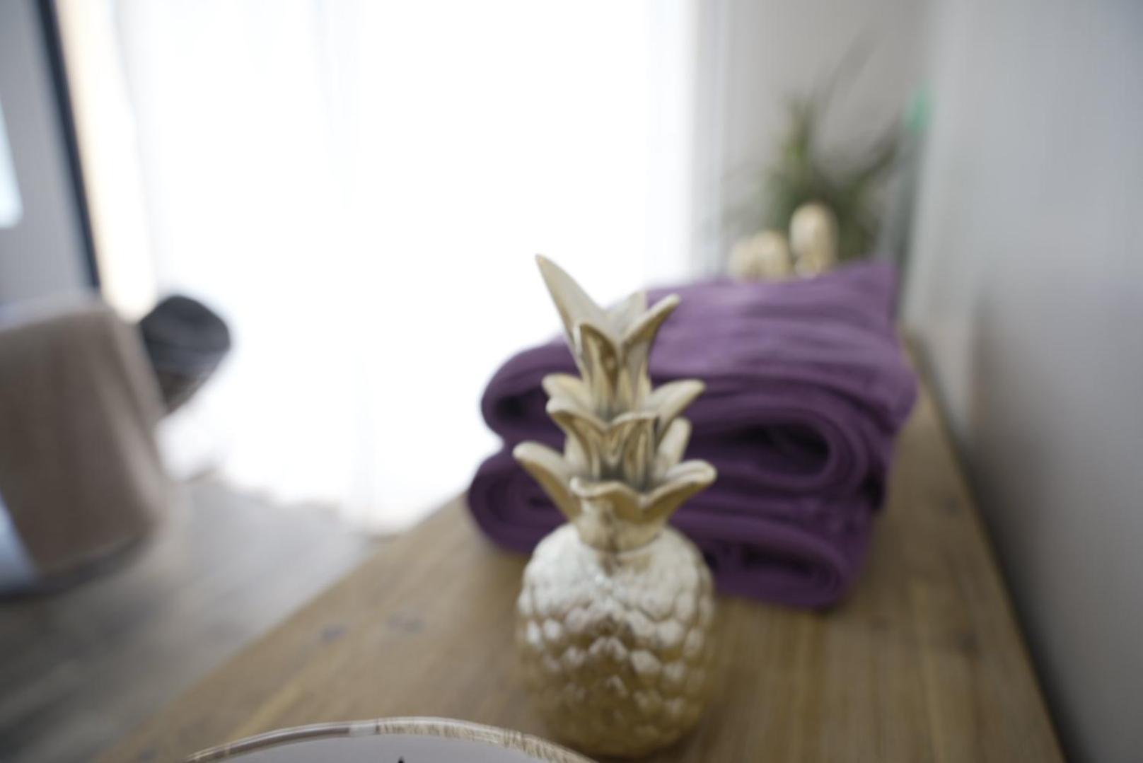 Atoumo Appartement Love Jacuzzi & Jardin Disneyland Paris Quincy-Voisins Pokoj fotografie